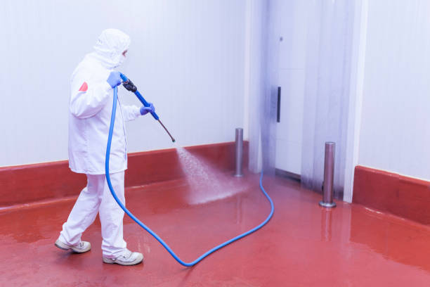 Best Post-Construction Pressure Washing  in St Augustine South, FL